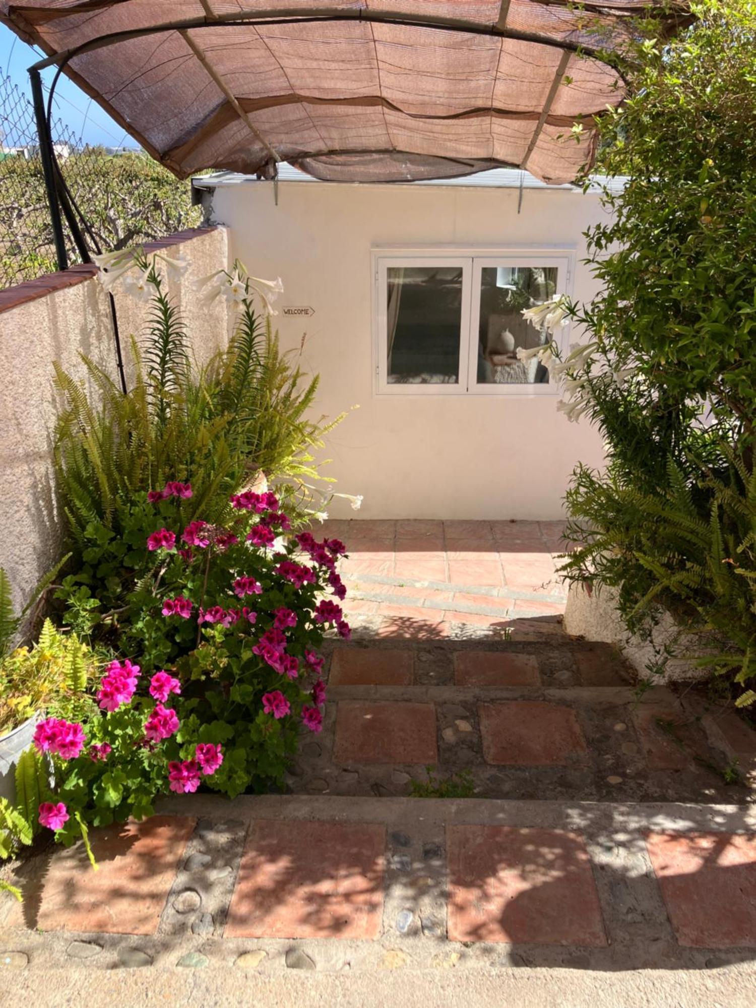 La Penita - Sunny Guesthouse With Private Pool And Garden Salobrena Exterior photo